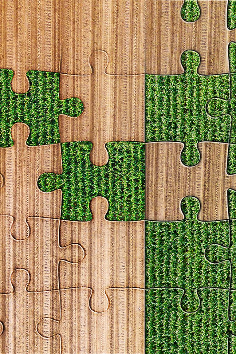 claas-api-grafik_data