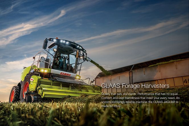 made-for-more_image-forage-harvesters