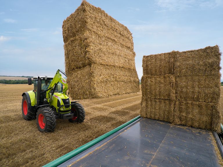 arion600c_image_engine_11