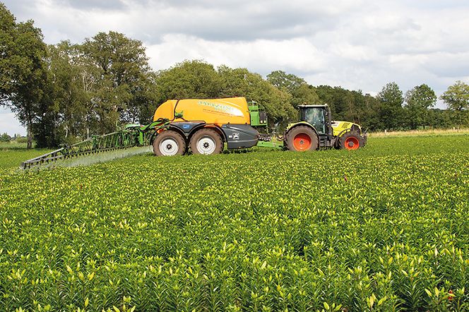 Lilienspezialisten-pic-3