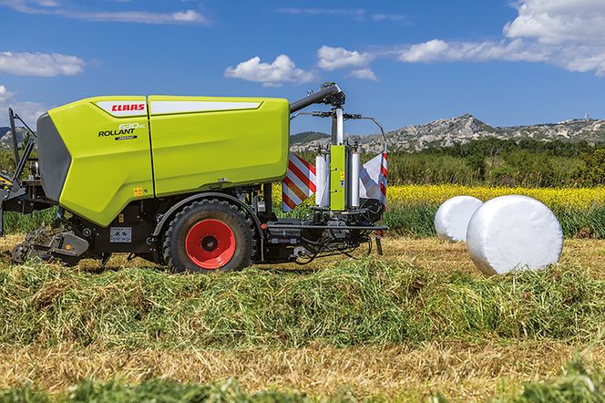 Lilienspezialisten-pic-2