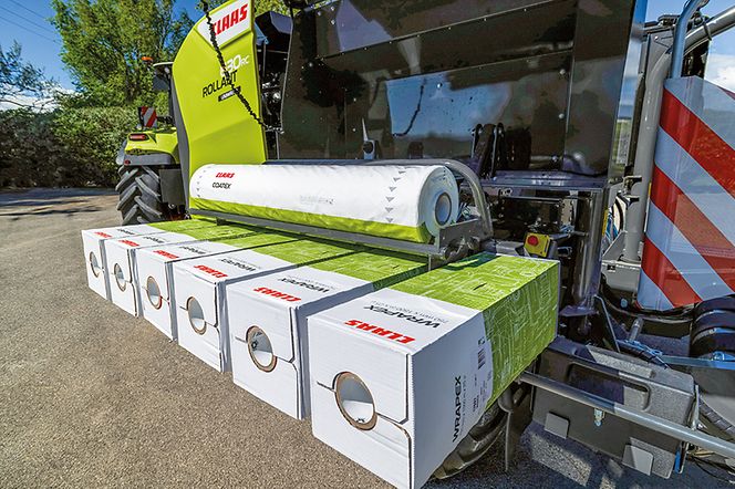 Lilienspezialisten-pic-3