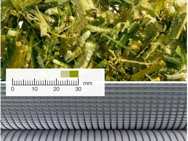 MCC SHREDLAGE MCC SHREDLAGE