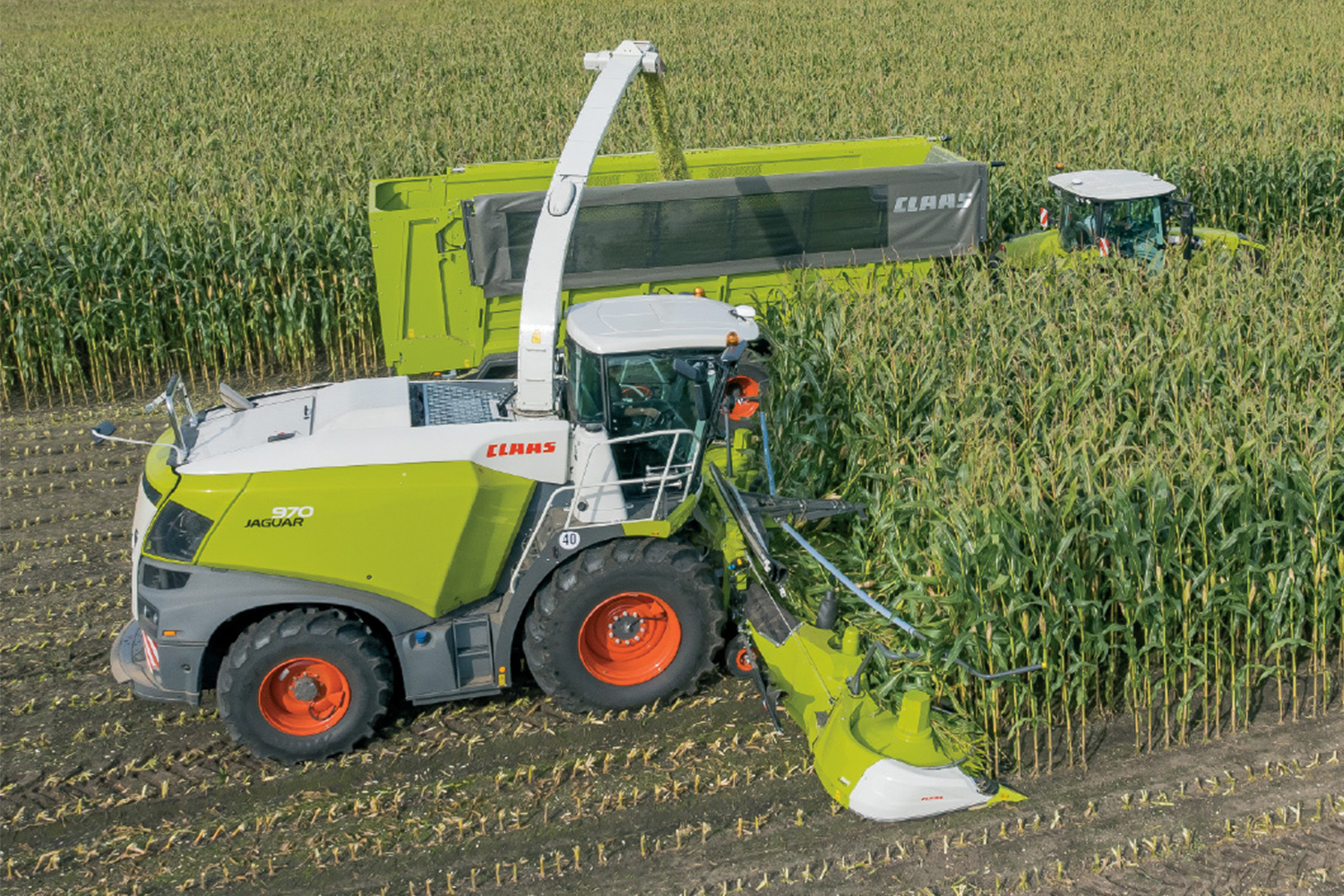 Higher Milk Production Starts With Forage Harvesting Technology | CLAAS