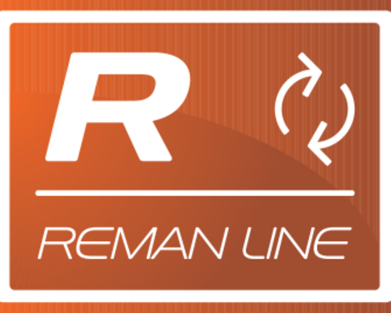 149911_1_REMAN Neu_data REMAN LINE