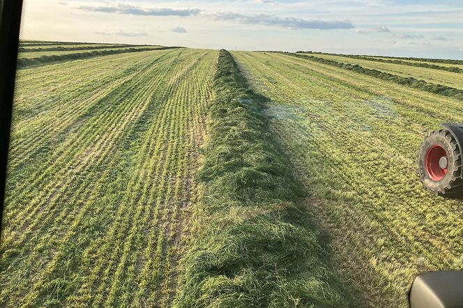 S-Wagner IMG_1901 Kopie