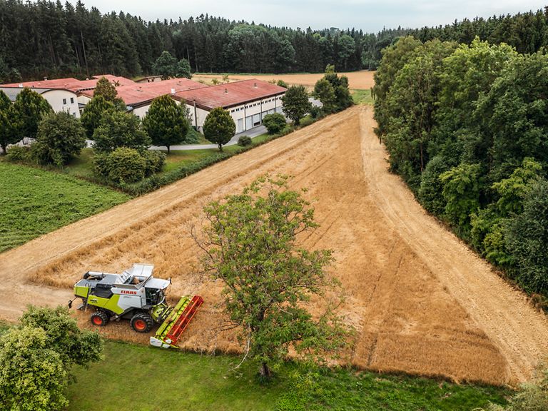 TRION 730 z przyrządem żniwnym VARIO 770 na skraju pola jęczmienia.
