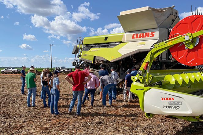 vkf-brasilien-pic-3 vkf-brasilien-pic-3