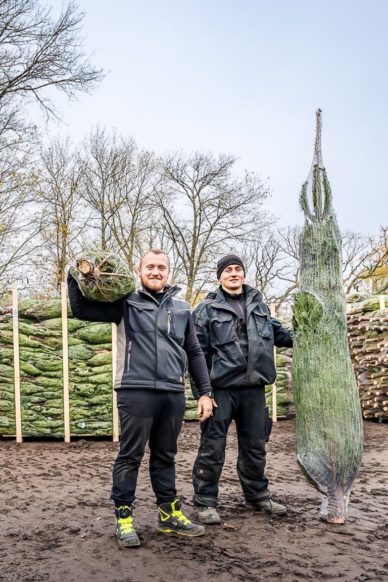 251110_DSC8460_CLAAS-Scorpion_1125┬®OlafTammFOTO