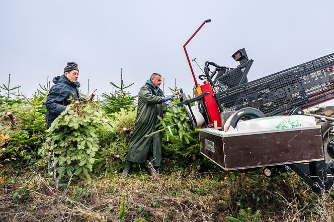 251110_DSC8741_CLAAS-Scorpion_1125┬®OlafTammFOTO