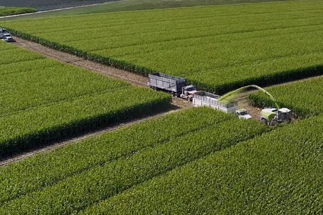 Screenshot 2025-12-29 132608