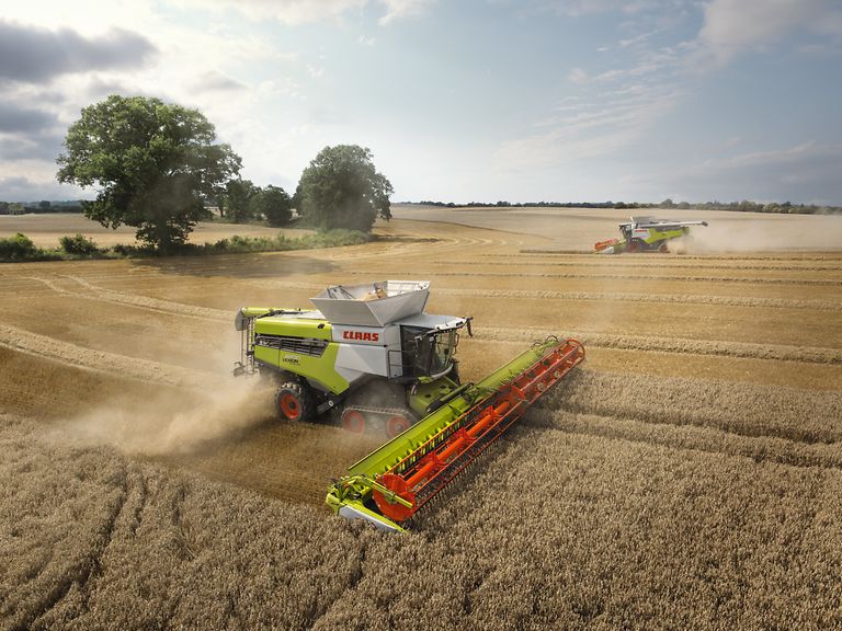 Green eye package-pic-2