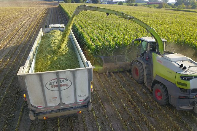 att.VzzwkWnGE3ynN06-a2GtRmGpCUoE5cJA2rGlifdXKyE 2