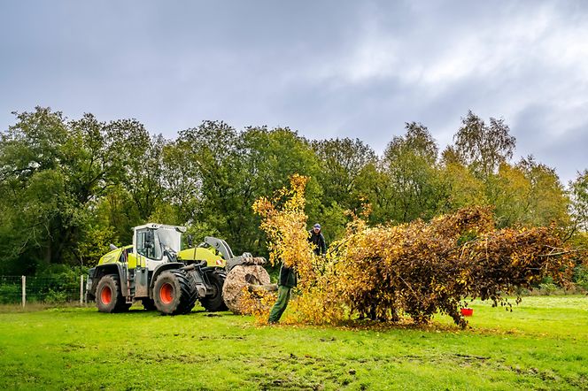 251015_DSC1724_CLAAS_Torion_1025©OlafTammFOTO