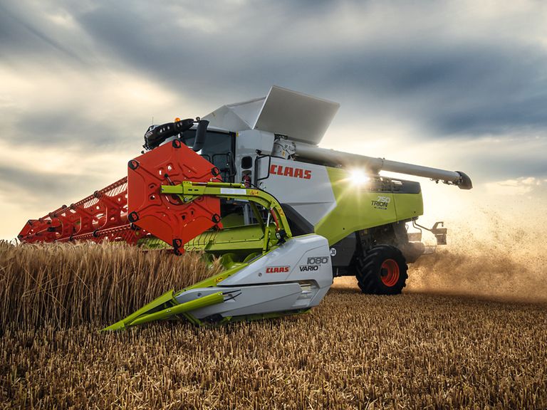 429826_27 TRION 750 TERRA TRAC con VARIO 1080 nella raccolta dell'orzo.