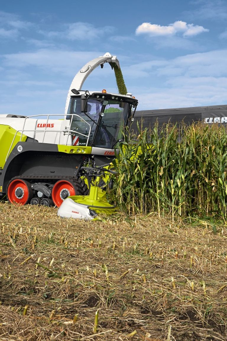 image-article-1-pic image-article-1-pic