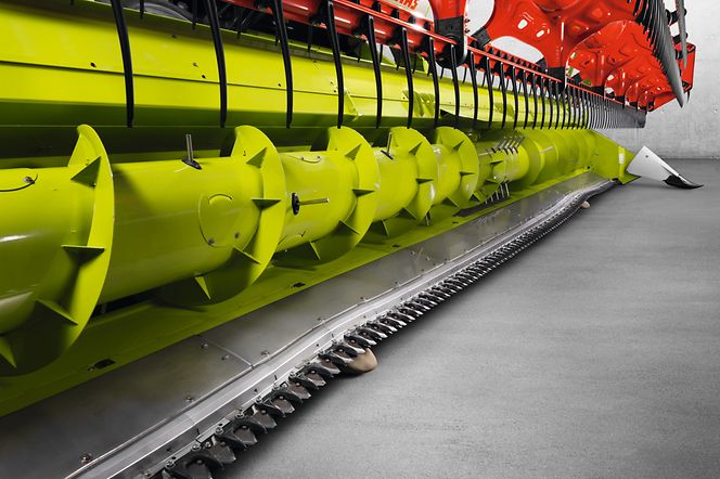 image-article-3-pic image-article-3-pic