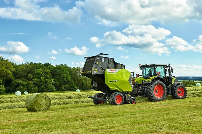 image-article-2-pic image-article-2-pic