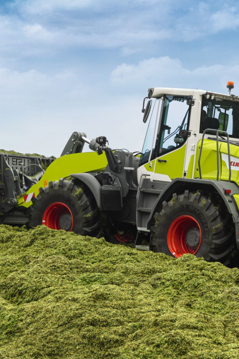 image-article-1-pic image-article-1-pic