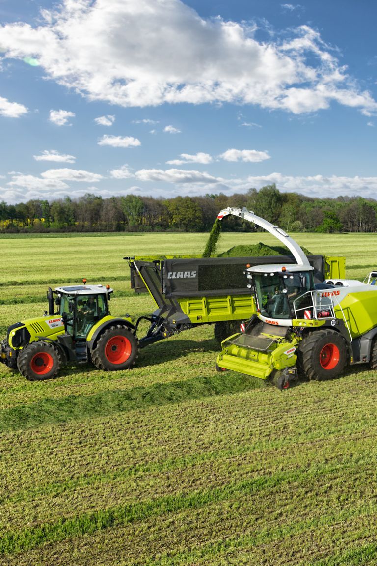 image-article-1-pic image-article-1-pic