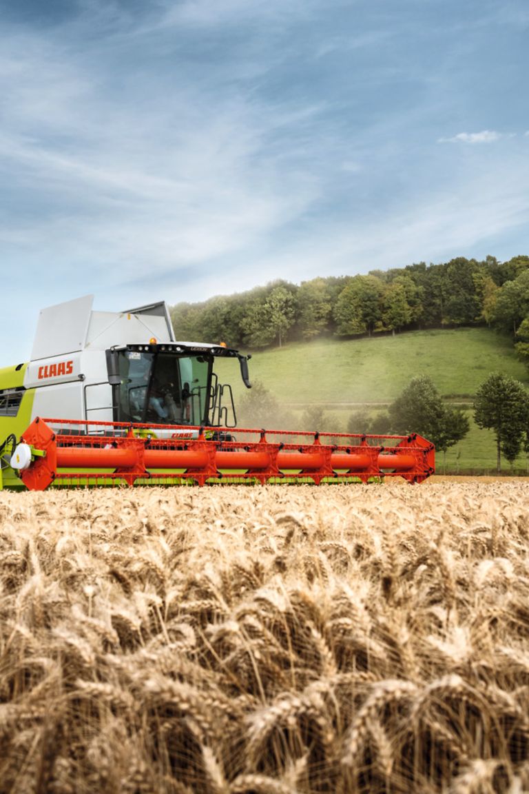 image-article-1-pic image-article-1-pic