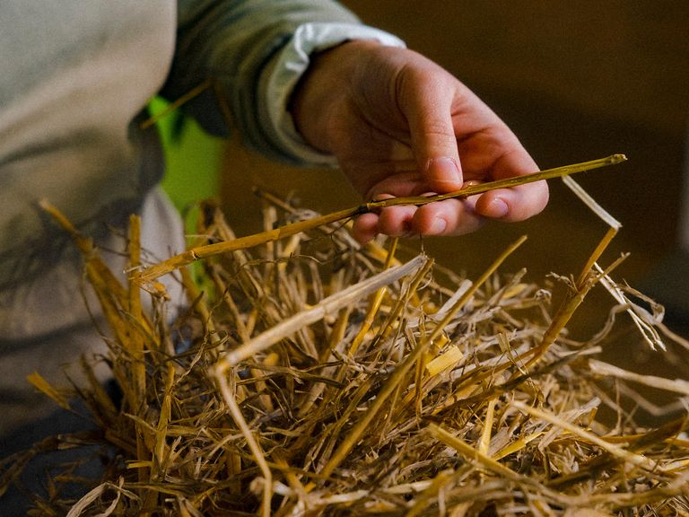 20240116_rabea_renner_0270_cf