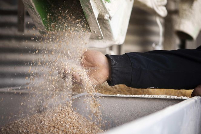 PascalPaumier (for Claas) 0323-228 F HRes-min-min