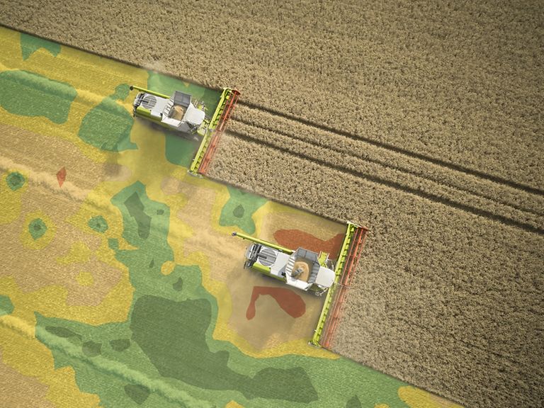 1989-today-article-4-pic