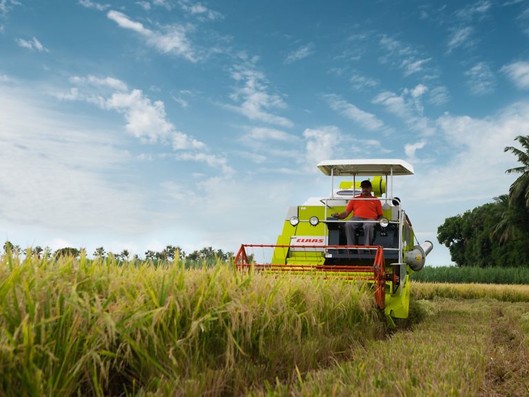 1989-today-collection-3-2-pic