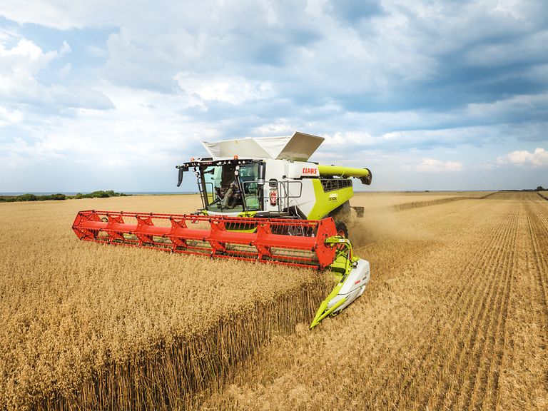 469576_27 LEXION 6900 TERRA TRAC на збиранні вівса зі жниваркою VARIO 930.