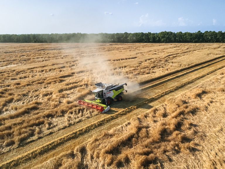TRION збирає врожай у полеглому посіві.