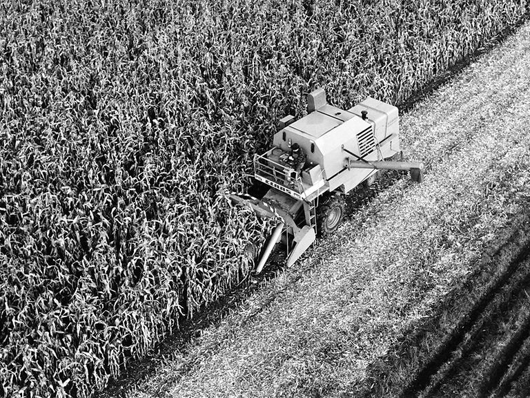 products_combines_smp-1_data