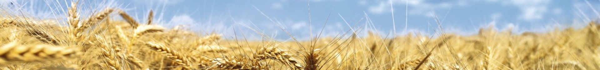 financing_cfs_2_data