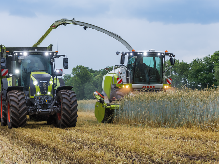 direct-disc-pic-jaguar