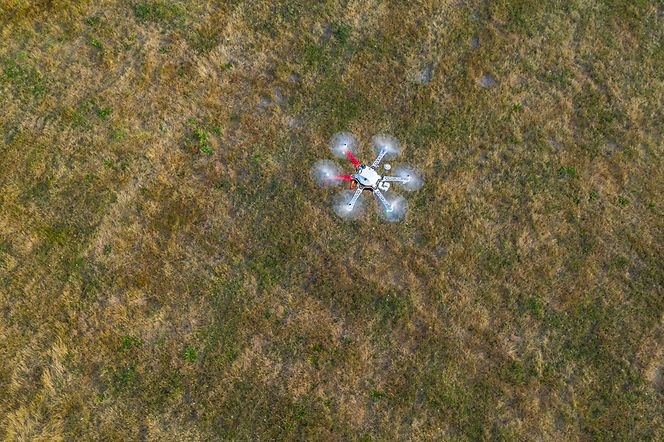 image-article-2-pic image-article-2-pic