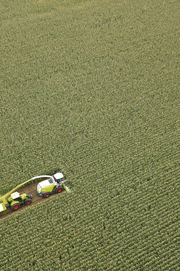 image-article-1-pic image-article-1-pic