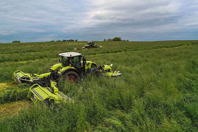 image-article-3-pic image-article-3-pic