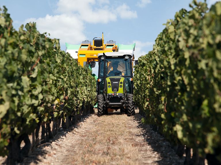 nexos200lrc_рис_кабина-комфорт_01