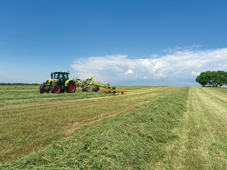 arion600c_image_assistent_stage