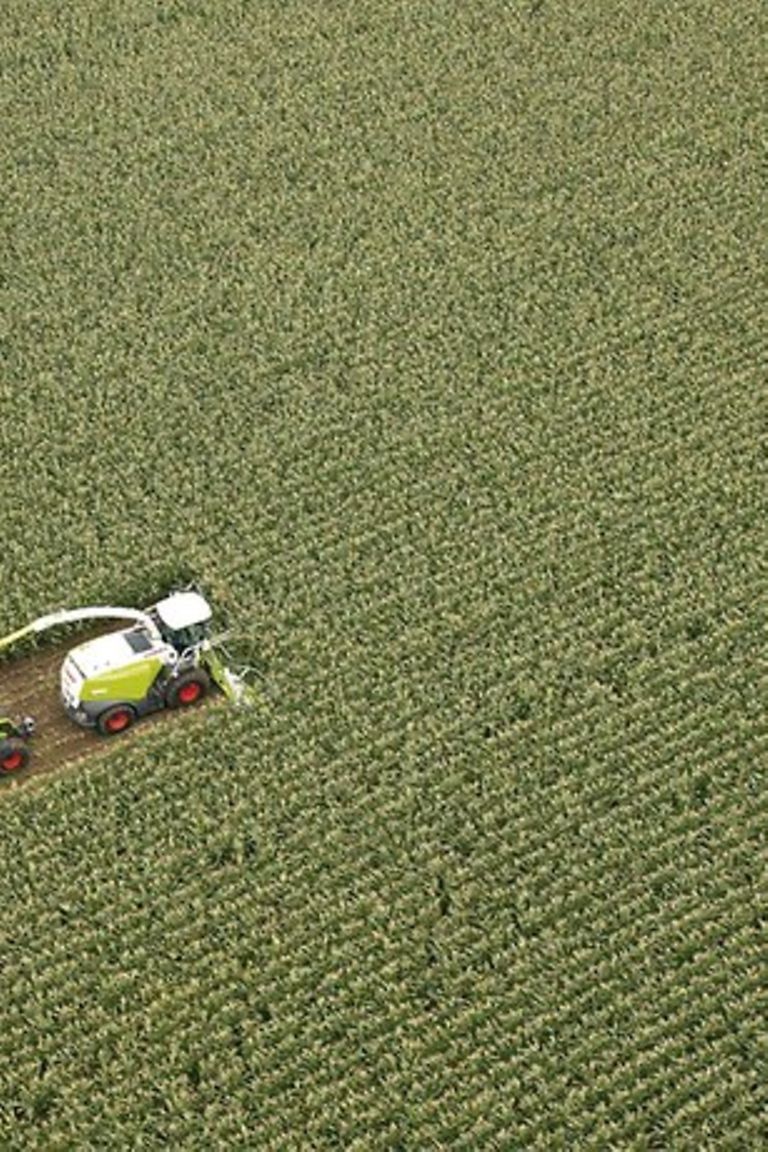 image-article-1-pic image-article-1-pic