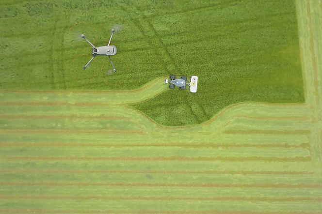 image-article-2-pic image-article-2-pic