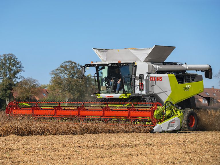 443791_27 TRION 730 harvesting soybeans with CONVIO FLEX 770.