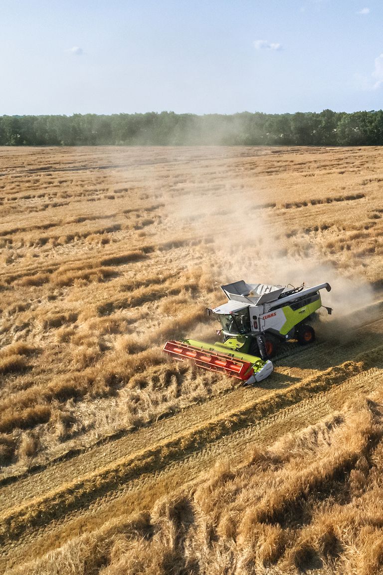 434219_25 TRION i MAXFLEX u žetvi ječma.