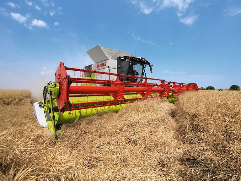 432706_27 Izbliza TRION 750 u žetvi uljane repice s VARIO 1080.