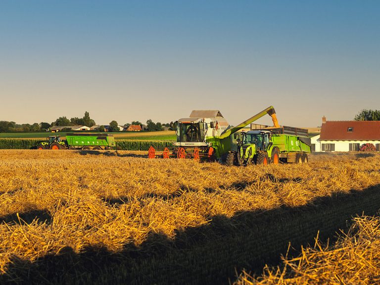 arion_400-testimonial_image-2