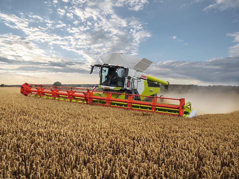 LEXION 8900 TERRA TRAC při sklizni pšenice s žacím ústrojím VARIO 1380.