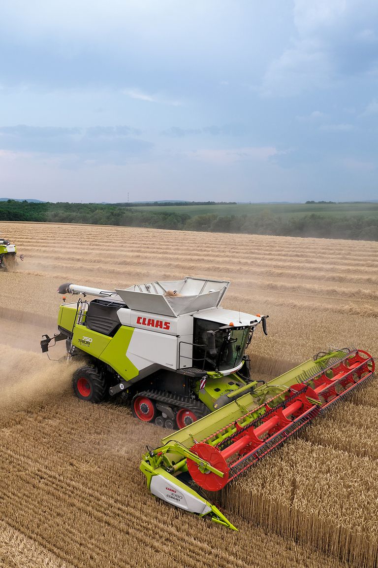 432684_27 TRION 750 CONVIO FLEX 1080 vágóasztallal búza aratása közben.